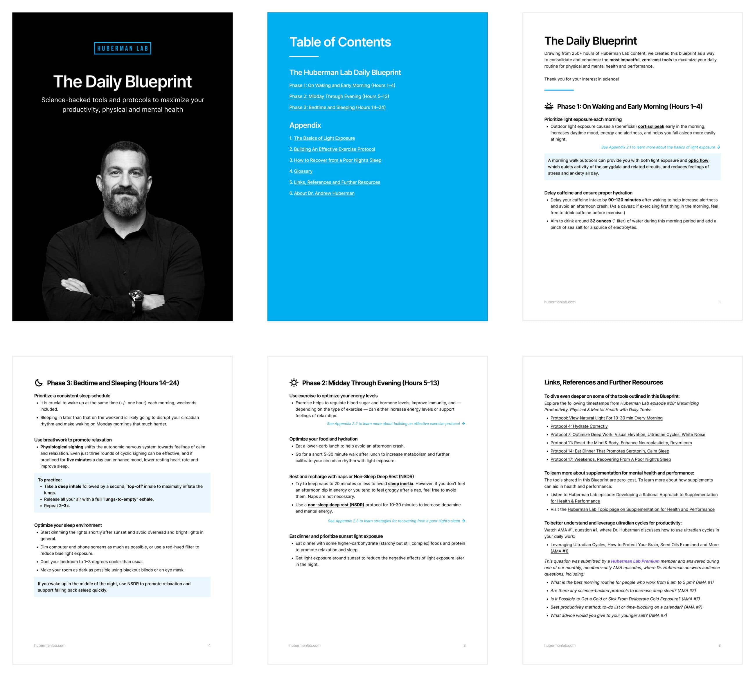 The Huberman Lab Daily Blueprint